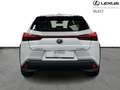 Lexus UX 250h Base Carplay Android Blanco - thumbnail 6