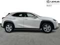 Lexus UX 250h Base Carplay Android Blanco - thumbnail 16