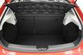 SEAT Leon ST 2.0 TDI 150 FR ADVANCED START-STOP Rosso - thumbnail 24