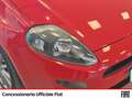 Fiat Punto 5p 1.4 street s&s e6 - thumbnail 17