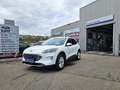 Ford Kuga Plug-In Titanium X *ACC*LED*KAM*TWA*NAV*SHA Blanc - thumbnail 2