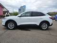 Ford Kuga Plug-In Titanium X *ACC*LED*KAM*TWA*NAV*SHA Blanc - thumbnail 5