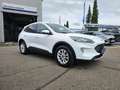 Ford Kuga Plug-In Titanium X *ACC*LED*KAM*TWA*NAV*SHA Blanc - thumbnail 4