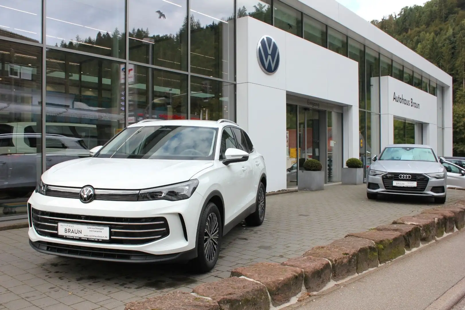 Volkswagen Tiguan 1.5 eTSI Elegance *Navi, IQ.Light* Weiß - 1