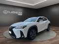 Lexus UX 250h UX 250h 2.0 Design 2wd cvt Bianco - thumbnail 1