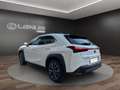 Lexus UX 250h UX 250h 2.0 Design 2wd cvt Bianco - thumbnail 2