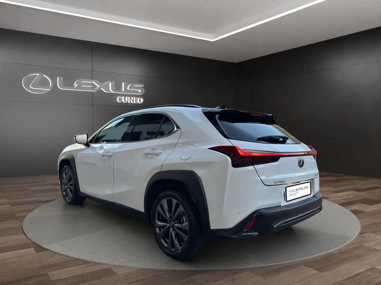 Lexus UX 250h UX 250h 2.0 Design 2wd cvt Bianco - 2