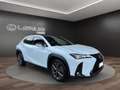 Lexus UX 250h UX 250h 2.0 Design 2wd cvt Bianco - thumbnail 4