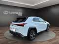 Lexus UX 250h UX 250h 2.0 Design 2wd cvt Bianco - thumbnail 3