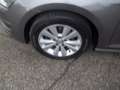 Volkswagen Golf Variant VII 1.6 TDi 105cv Trendline BMT DPF Gris - thumbnail 26