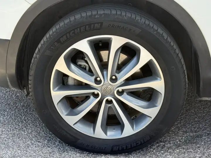 Nissan Qashqai 2.0 dCi Tekna Sport 4x2 17'' 2010, foto 15