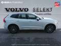 Volvo XC60 B4 AdBlue AWD 197ch Inscription Luxe Geartronic - thumbnail 11