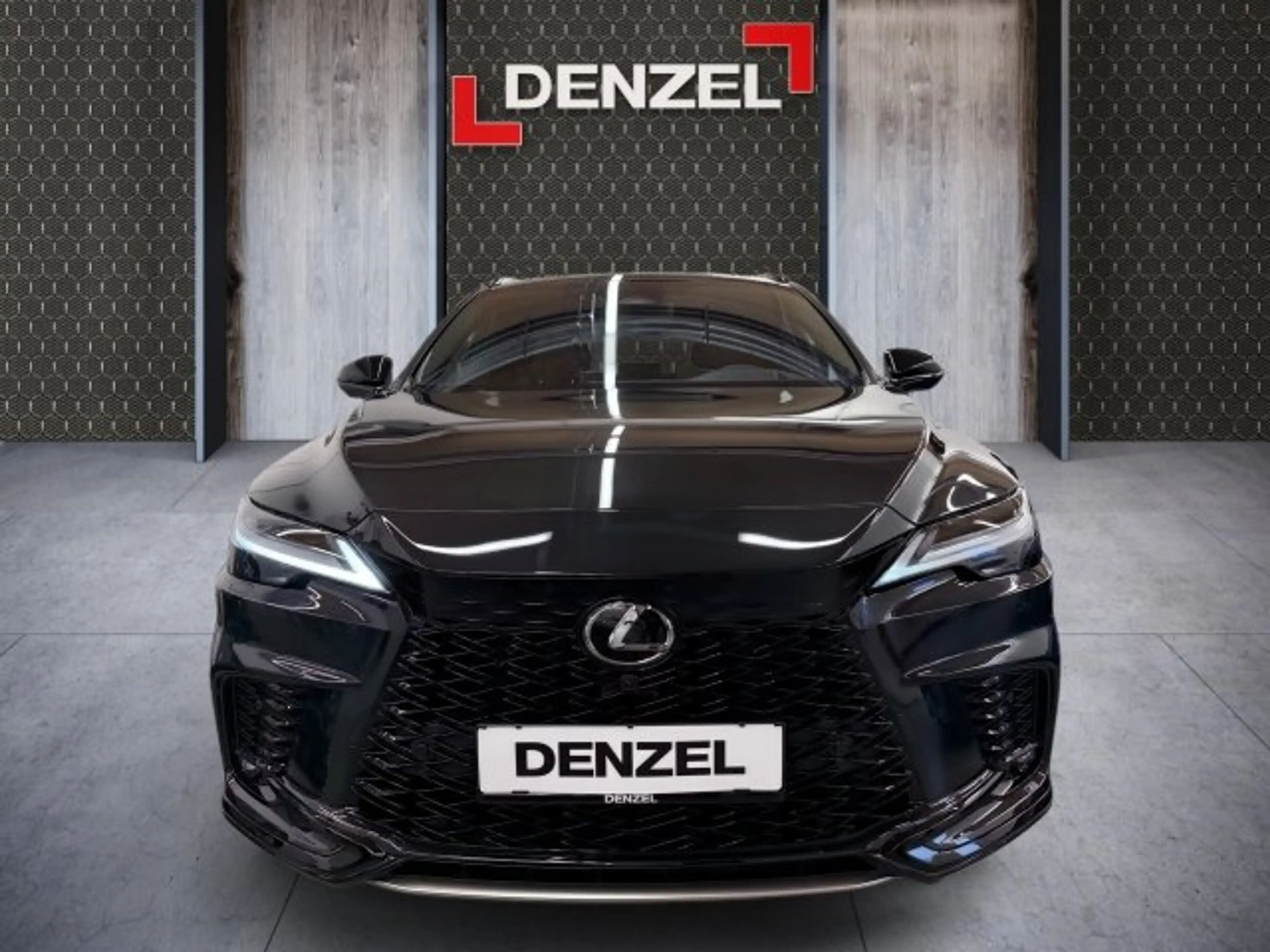 Lexus RX 500h F SPORT — photo 13