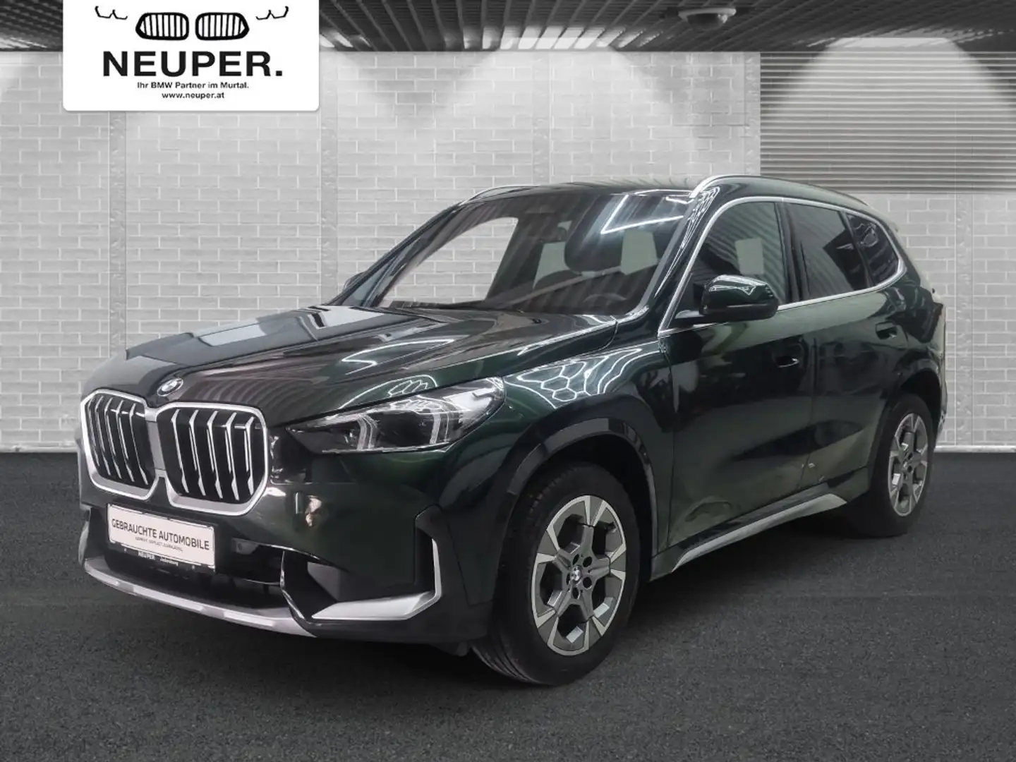 BMW X1 xDrive20d Grün - 1