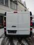 Renault Trafic Kasten L2H1 3,0t Komfort AC+EPH Weiß - thumbnail 4