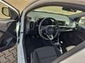Kia Picanto Edition 7 Weiß - thumbnail 5