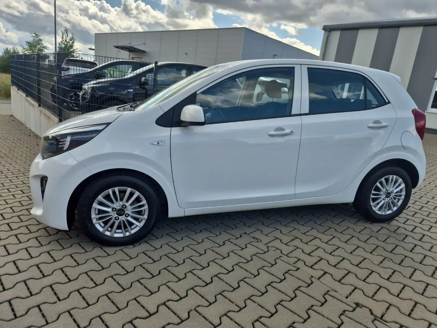 Kia Picanto Edition 7 Weiß - 2