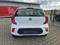 Kia Picanto Edition 7 Weiß - thumbnail 3