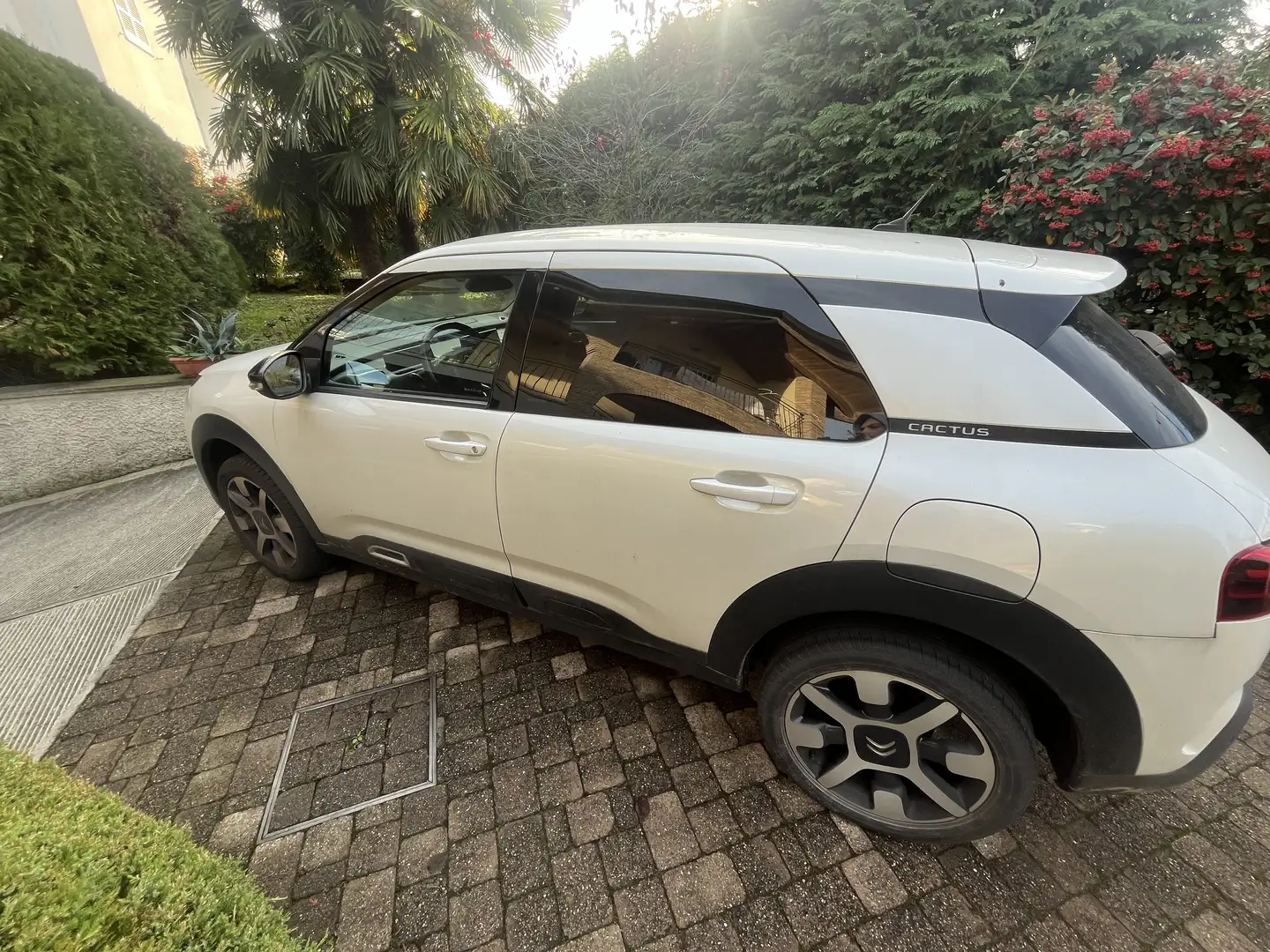 Citroen C4 Cactus Shine - 2