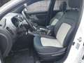 Kia Sportage 20 Jahre Edition 1,7 CRDi 2WD ISG Wit - thumbnail 6