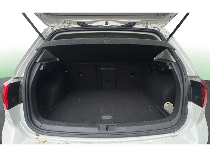 Volkswagen Golf VII e-Golf ePower (2017) 2018, foto 14