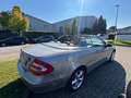 Mercedes-Benz CLK 320 Cabrio Automatik Cubanitsilber Silber - thumbnail 6