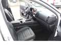 Citroen C5 Aircross Shine PT130EAT Schiebedach/Elektr.Heckklappe Dach/ Weiß - thumbnail 15