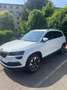 Skoda Karoq Karoq 2019 2.0 tdi Executive 4x4 dsg Bianco - thumbnail 3