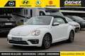 Volkswagen Beetle Beetle Cabriolet 1.2 TSI BMT Sound Navi/Klima/BC Blanc - thumbnail 1