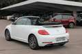 Volkswagen Beetle Beetle Cabriolet 1.2 TSI BMT Sound Navi/Klima/BC Blanc - thumbnail 30