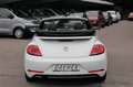 Volkswagen Beetle Beetle Cabriolet 1.2 TSI BMT Sound Navi/Klima/BC Blanc - thumbnail 31