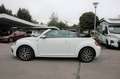 Volkswagen Beetle Beetle Cabriolet 1.2 TSI BMT Sound Navi/Klima/BC Blanc - thumbnail 29
