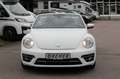 Volkswagen Beetle Beetle Cabriolet 1.2 TSI BMT Sound Navi/Klima/BC Blanc - thumbnail 28