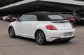 Volkswagen Beetle Beetle Cabriolet 1.2 TSI BMT Sound Navi/Klima/BC Blanc - thumbnail 5