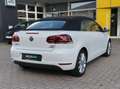 Volkswagen Golf Cabriolet Lounge BMT /Allwetterreifen /Windschott /Parkpilot Blanco - thumbnail 11