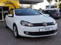 Volkswagen Golf Cabriolet Lounge BMT /Allwetterreifen /Windschott /Parkpilot Blanco - thumbnail 5
