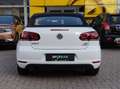 Volkswagen Golf Cabriolet Lounge BMT /Allwetterreifen /Windschott /Parkpilot Blanco - thumbnail 9