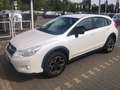 Subaru XV XV 2.0d Free (comfort) 6mt Bianco - thumbnail 2