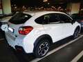 Subaru XV XV 2.0d Free (comfort) 6mt Bianco - thumbnail 4