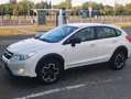 Subaru XV XV 2.0d Free (comfort) 6mt Bianco - thumbnail 3