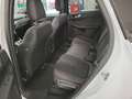Ford Kuga ST-Line X 2,5L Duratec PHEV 243PS A FWD Weiß - thumbnail 7