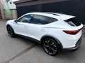 CUPRA Formentor Formentor 1.5 TSI DSG Tribe Edition Blanc - thumbnail 4