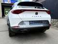 CUPRA Formentor Formentor 1.5 TSI DSG Tribe Edition Blanc - thumbnail 7