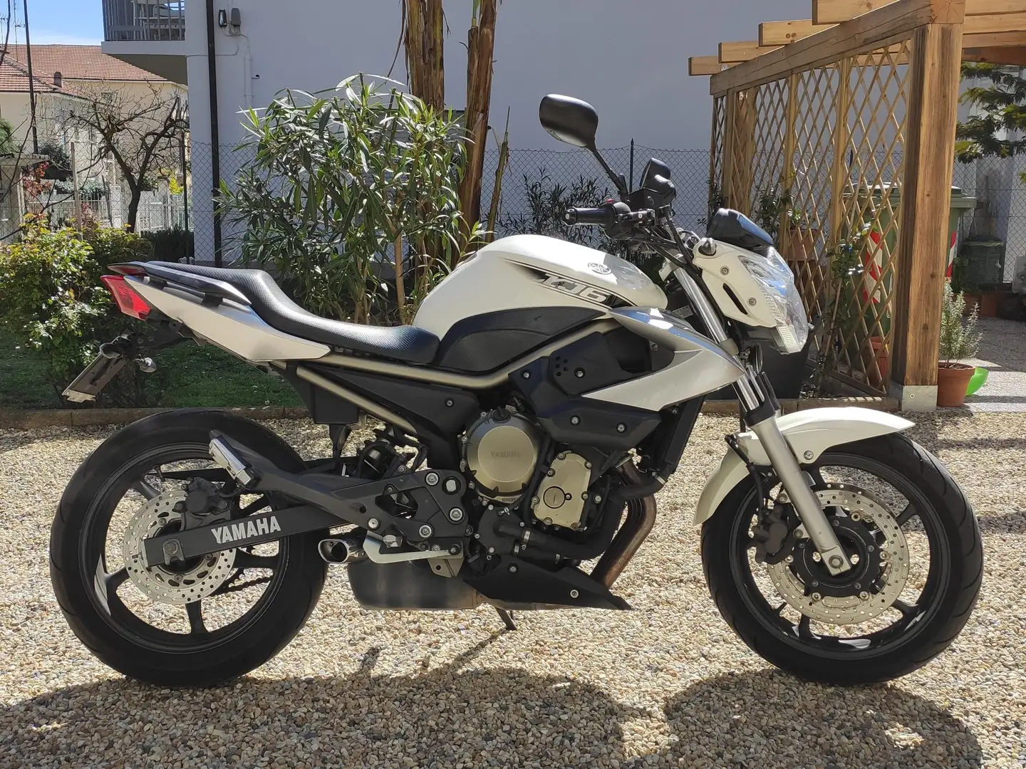 Yamaha XJ 6 Bianco - 1