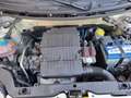 Fiat Panda Panda 1.2 Climbing 4x4 69cv OK NEOPATENTATI Blanc - thumbnail 17