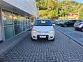 Fiat Panda Panda 1.2 Climbing 4x4 69cv OK NEOPATENTATI Blanc - thumbnail 2