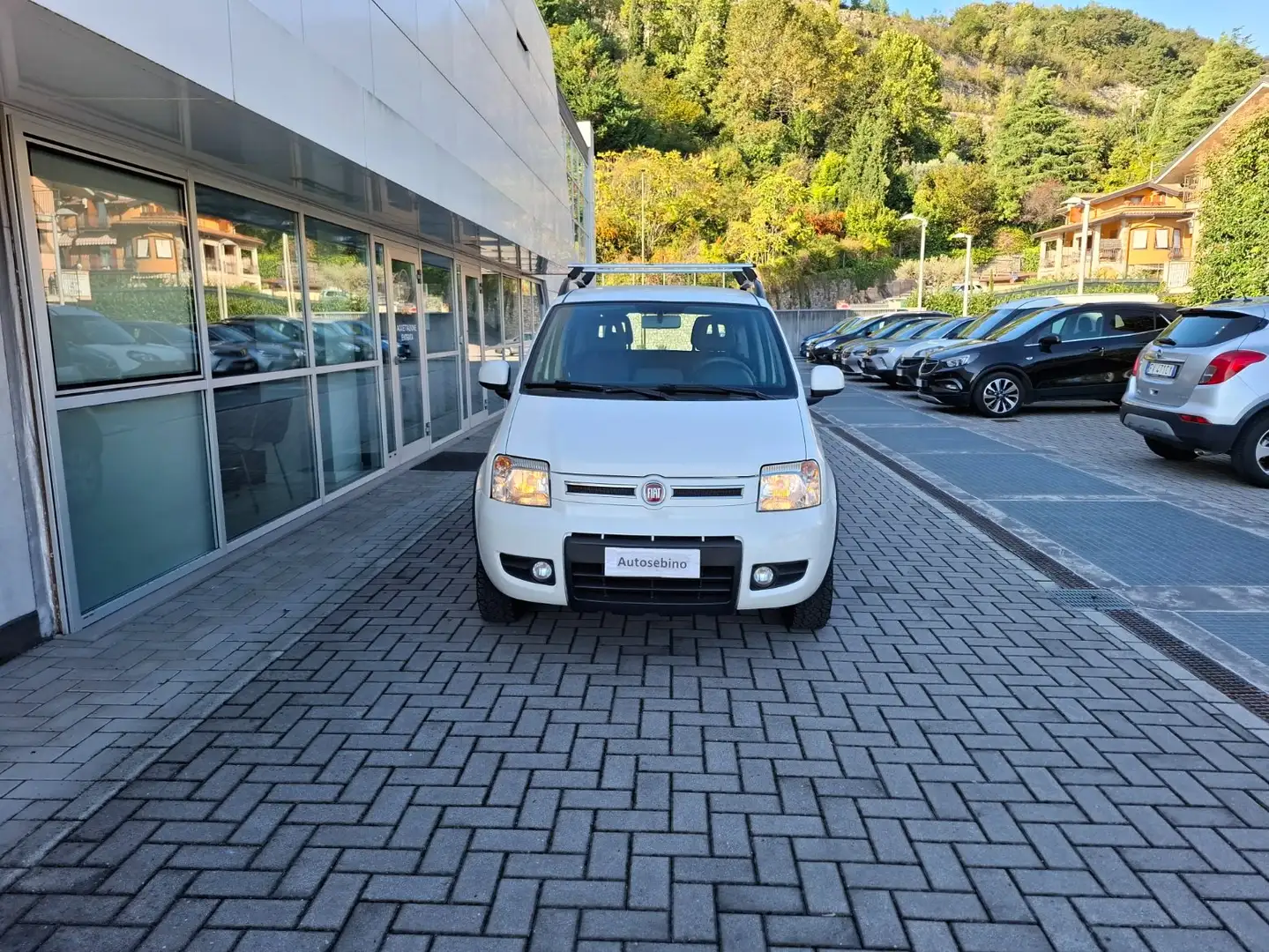 Fiat Panda Panda 1.2 Climbing 4x4 69cv OK NEOPATENTATI Bianco - 2