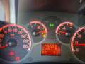 Fiat Panda Panda 1.2 Climbing 4x4 69cv OK NEOPATENTATI Blanc - thumbnail 9