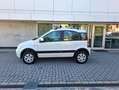 Fiat Panda Panda 1.2 Climbing 4x4 69cv OK NEOPATENTATI Blanc - thumbnail 4