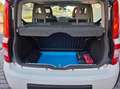 Fiat Panda Panda 1.2 Climbing 4x4 69cv OK NEOPATENTATI Blanc - thumbnail 6